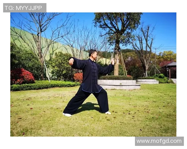 杨氏风采中国篮球女明星的成长与辉煌之路